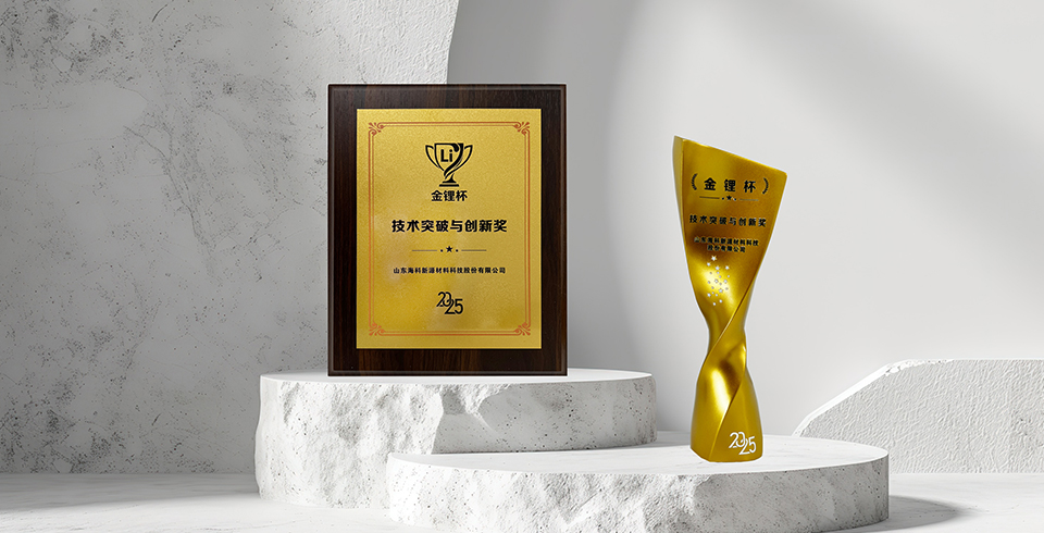 喜报 | 九州网页版登录入口-九州(中国)荣获真锂研究“技术突破与创新奖”